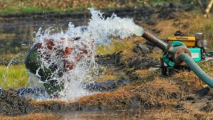 Integrating Automated Irrigation with Professional Landscape Design for Better Efficiency